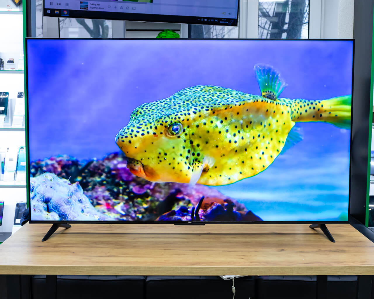 Телевизор TCL 65P635