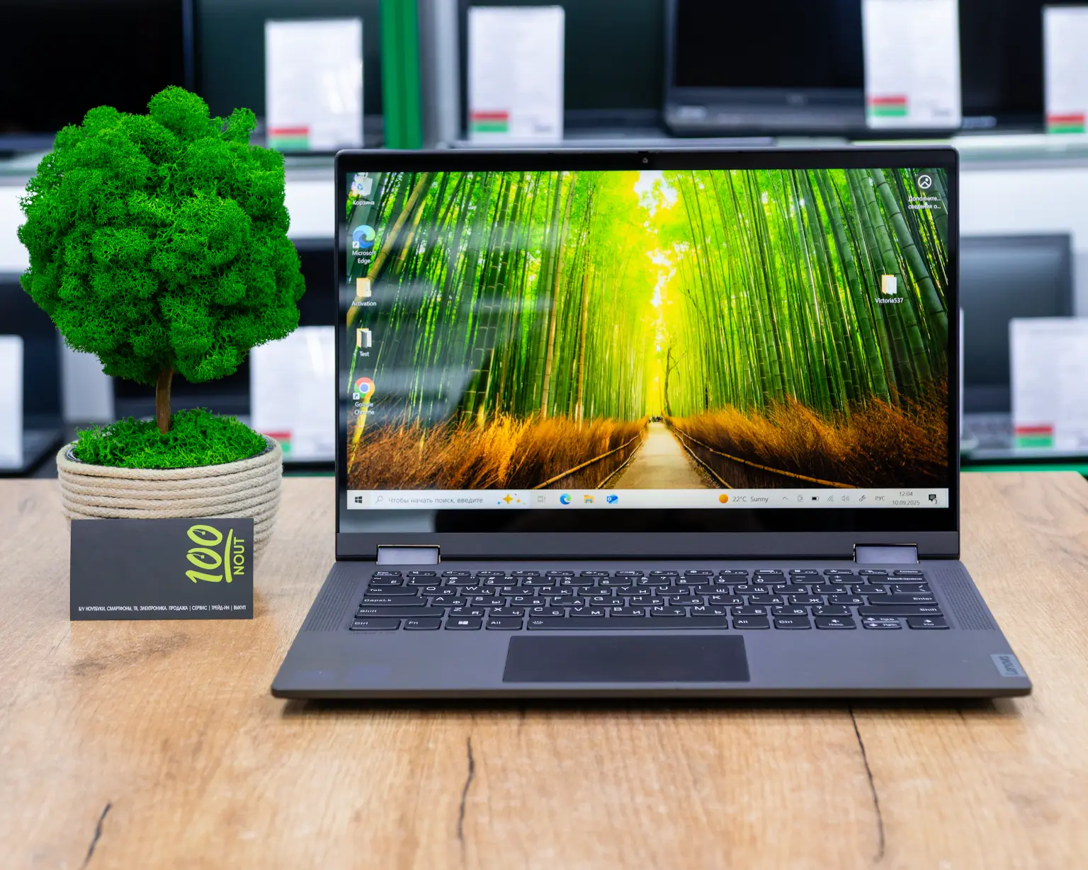 Ноутбук 2-в-1 Lenovo IdeaPad Flex 5 14IIL05