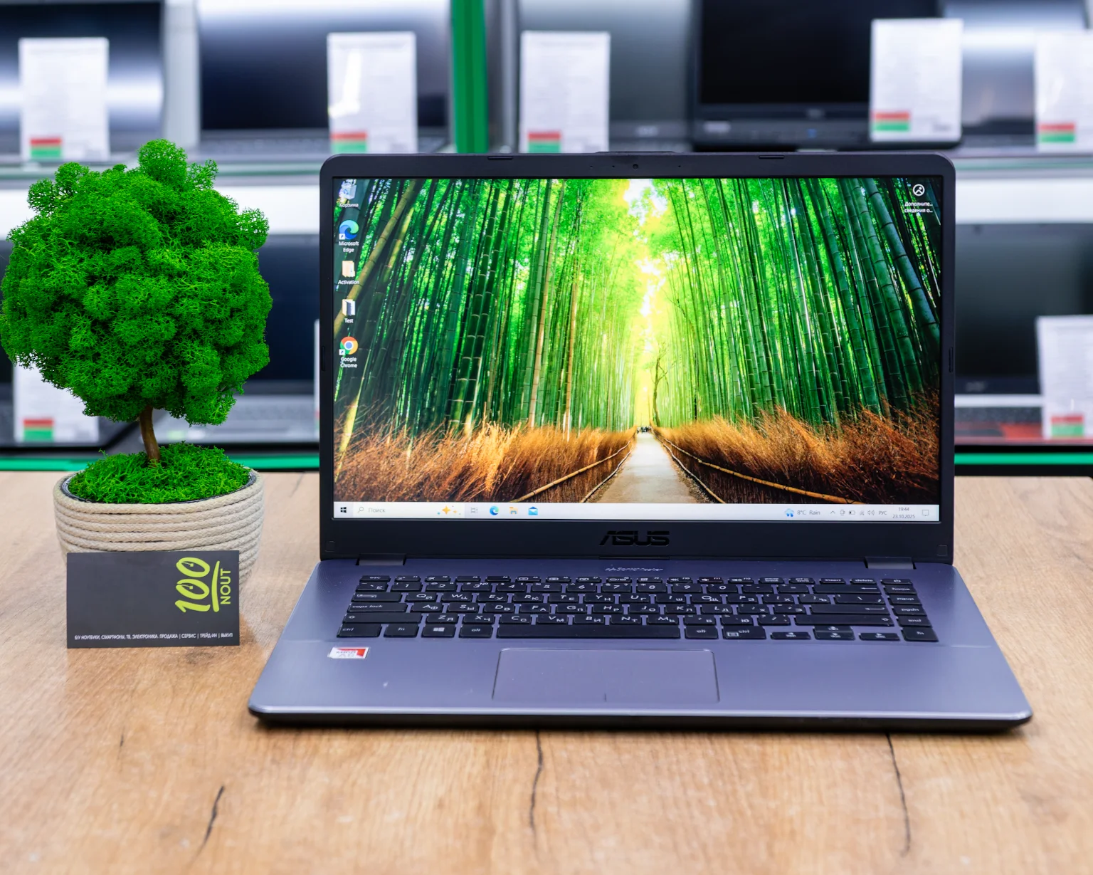 Ноутбук ASUS VivoBook 15 X505BA (FHD/AMD A6-9220/8GB/SSD 256GB)