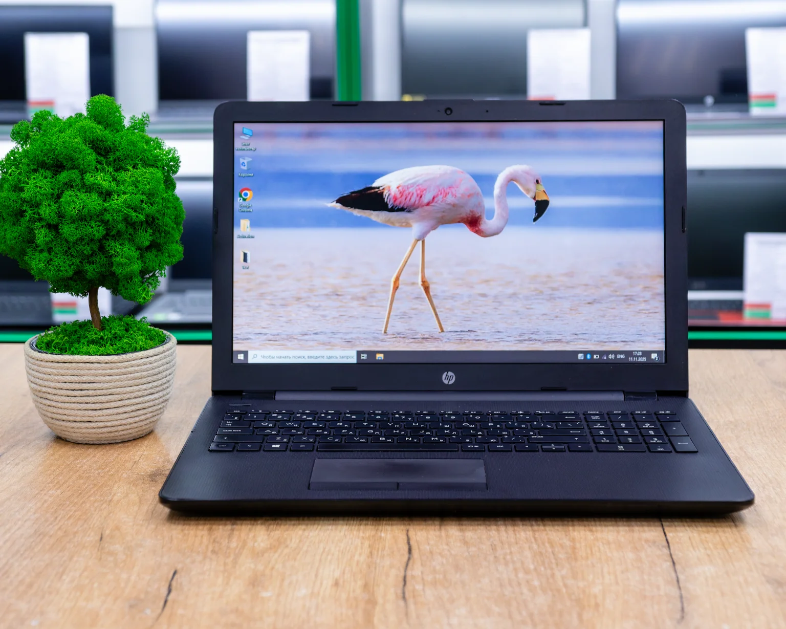 Ноутбук НР 15-bw (HD/A9-9420/8GB/HDD 500GB)