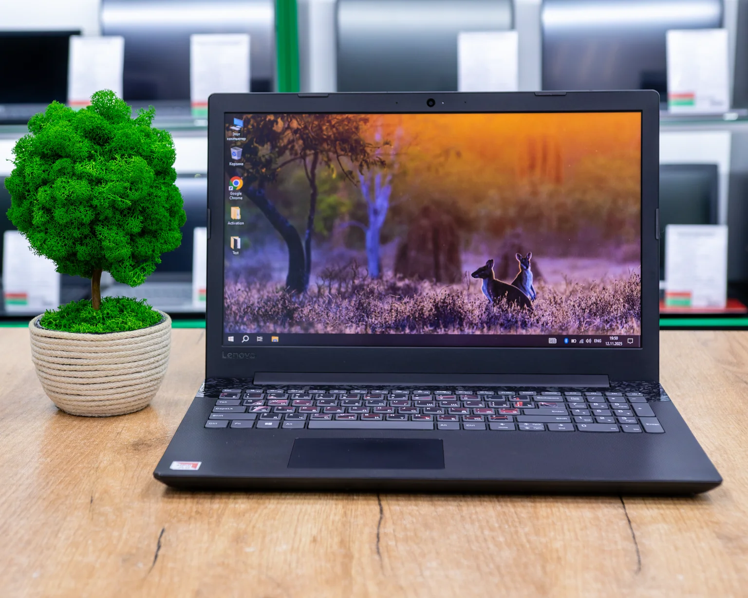 Ноутбук Lenovo IdeaPad 130-15AST (HD/A9-9425/8GB/SSD 256GB)