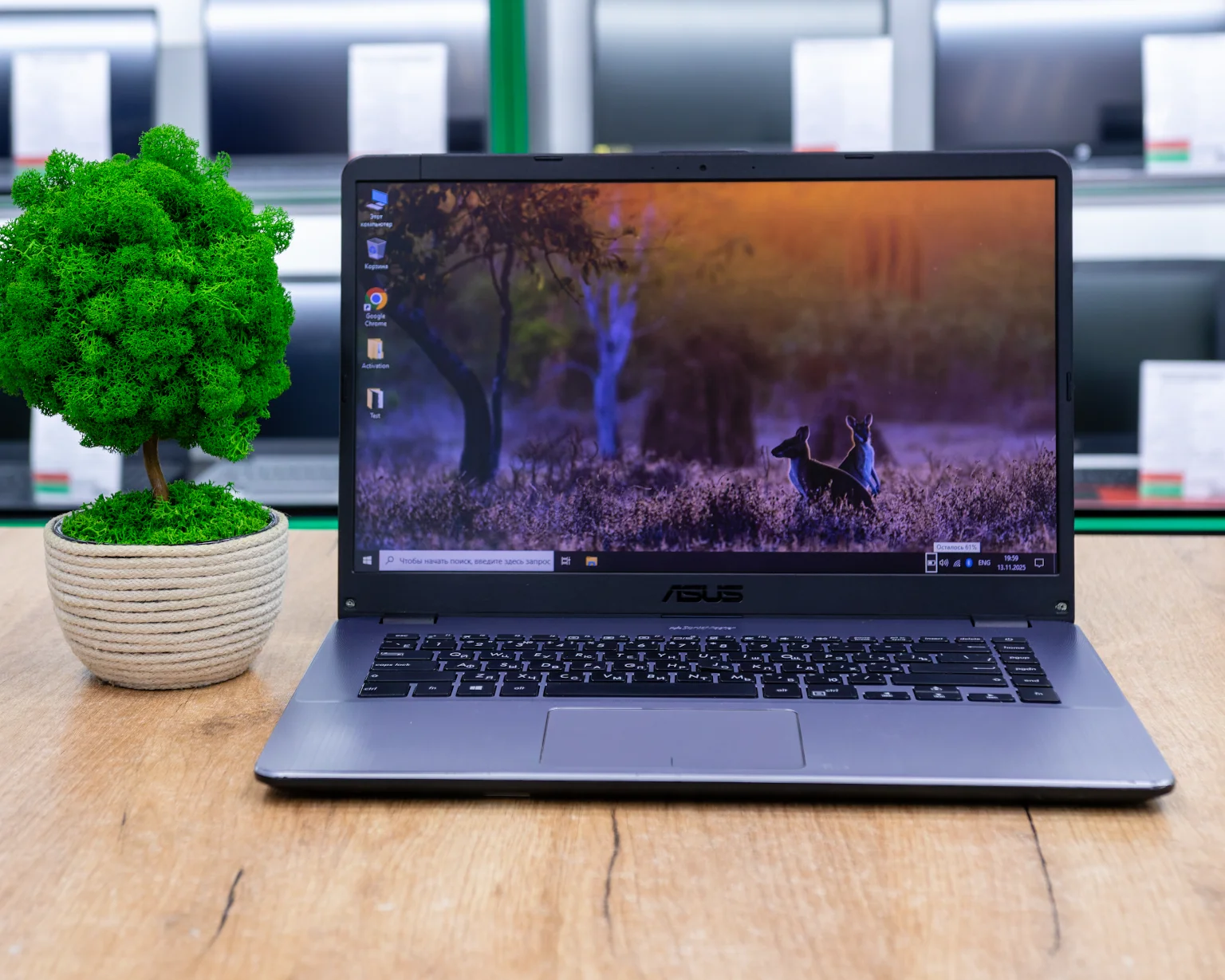 Ноутбук ASUS VivoBook 15 X505BA (HD/A6-9220/8GB/SSD 256GB)