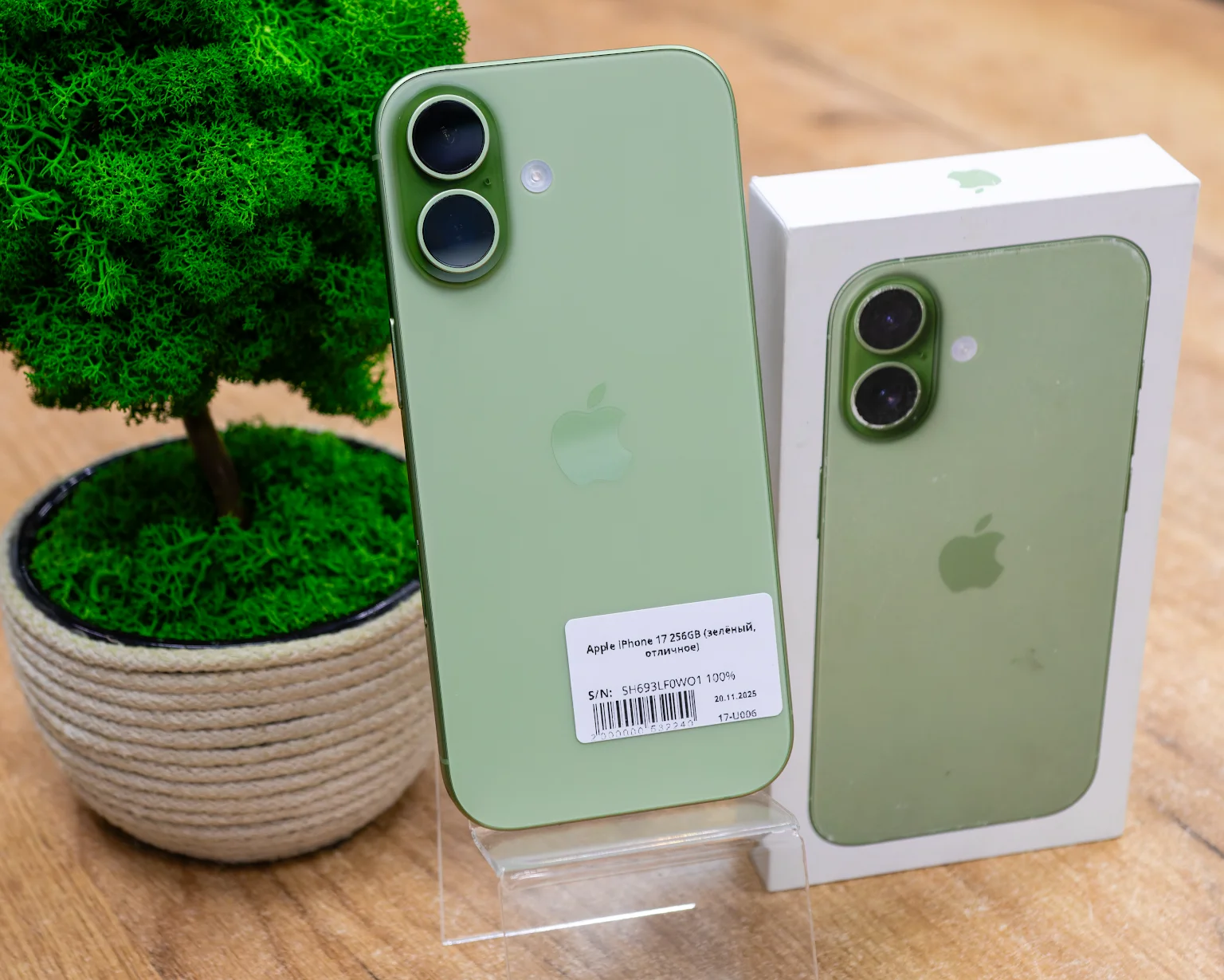 Apple iPhone 17 256GB (зелёный, отличное)