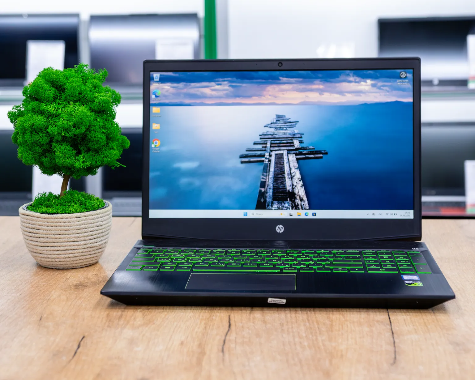 Игровой ноутбук HP Pavilion Gaming 15-cx (Full HD/i5-8gen/GTX 1050 4GB/16GB/SSD+HDD 256+1000GB)