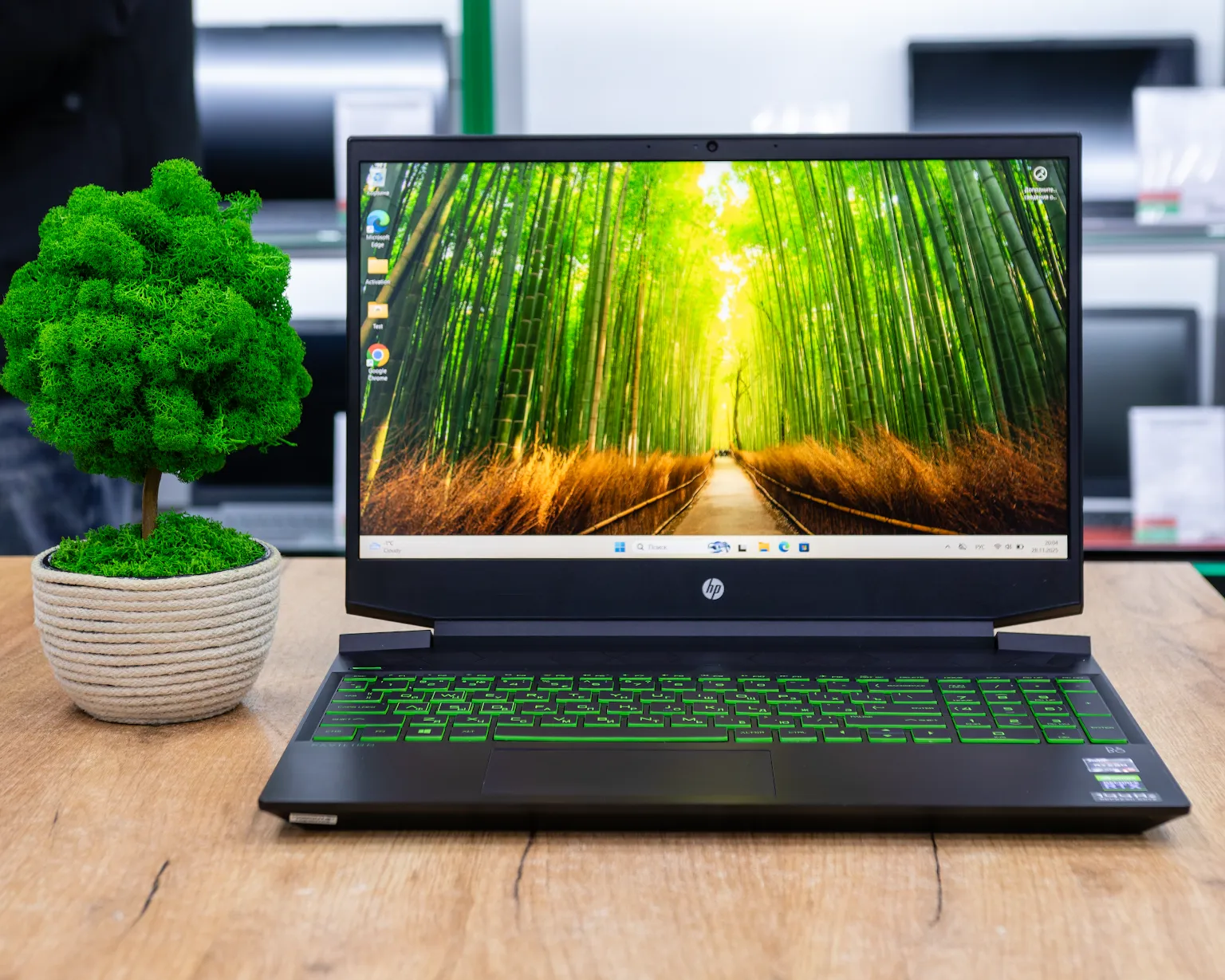 Игровой ноутбук HP Pavilion Gaming 15-ec (144Hz/Ryzen 5 5600H/RTX 3050 Ti 4GB/16GB/SSD 512GB)