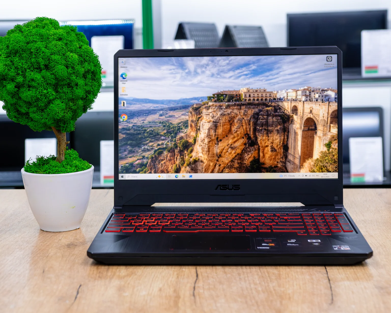 Игровой ноутбук Asus Tuf Gaming TUF505 (Full HD/Ryzen 5 3550H/RX 560X 4GB/16GB/SSD 512GB)