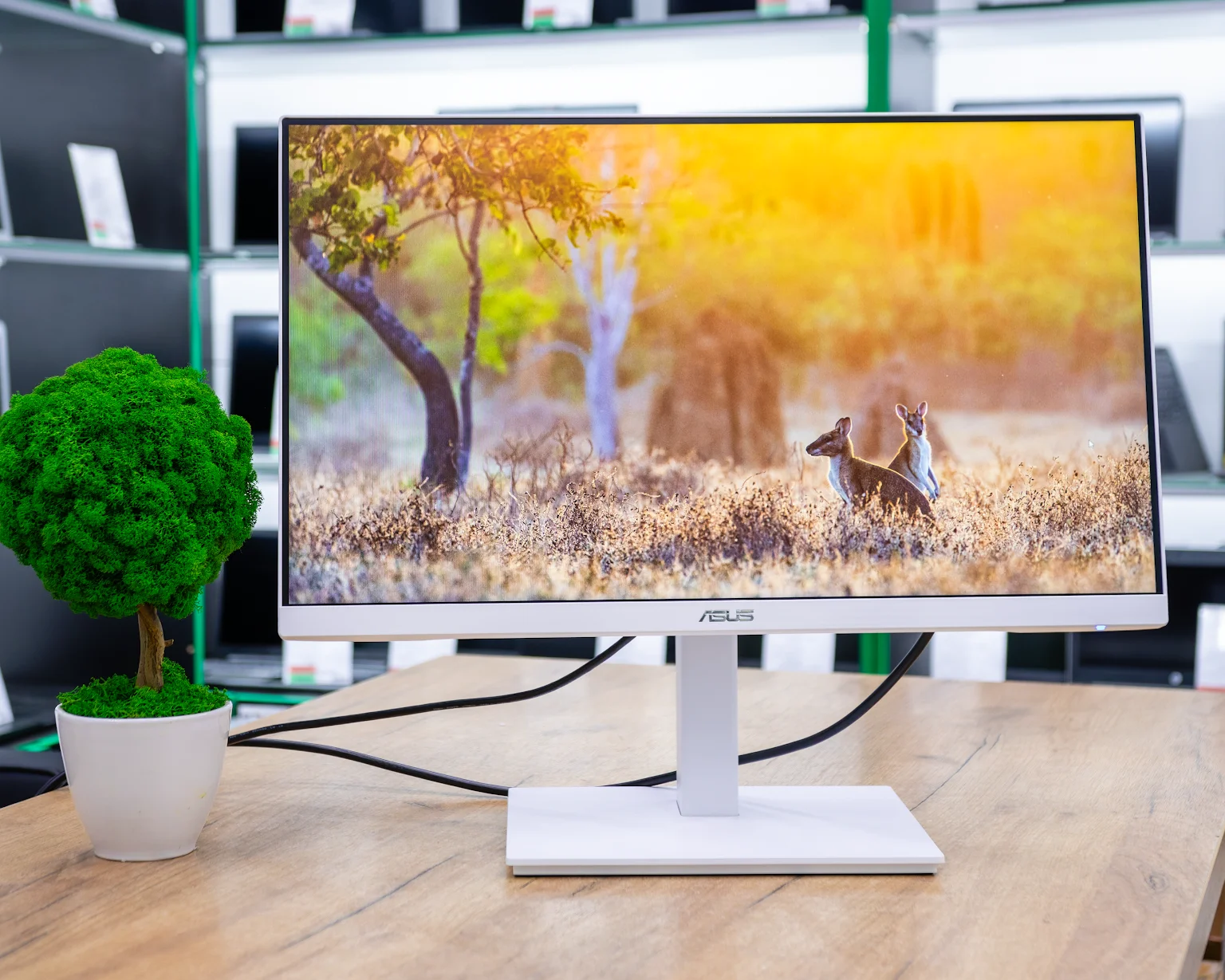 Монитор ASUS Business VA24EQSB-W