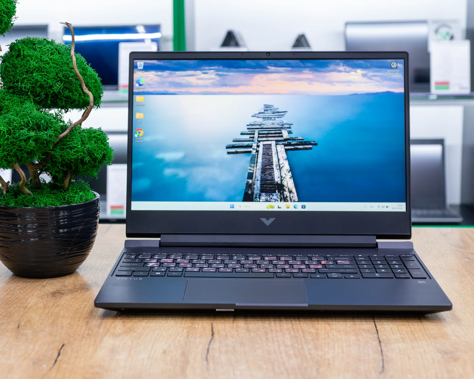 Игровой ноутбук HP Victus 15-fa (144Hz/i5-13gen/RTX 4060 8GB/16GB/SSD 512GB)