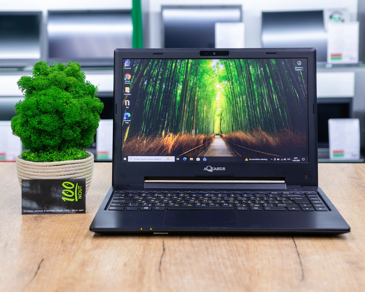 Ноутбук Aquarius CMP NS573 (HD/Pentium 4415U/8GB/HDD 1000GB)