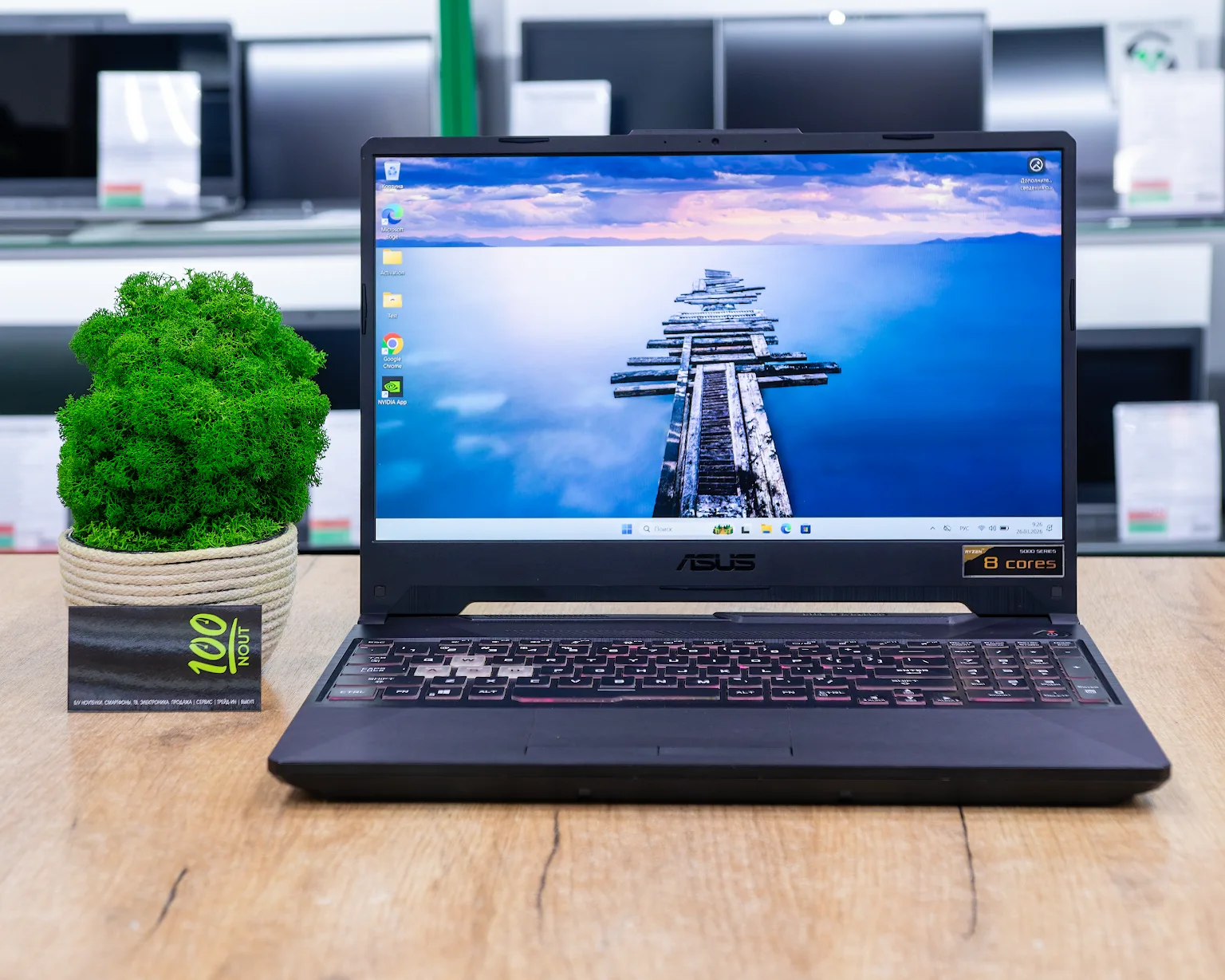 Игровой ноутбук Asus TUF Gaming FA506QR (144Hz/Ryzen 7 5800H/RTX 3070 8GB/16GB/SSD 512GB)