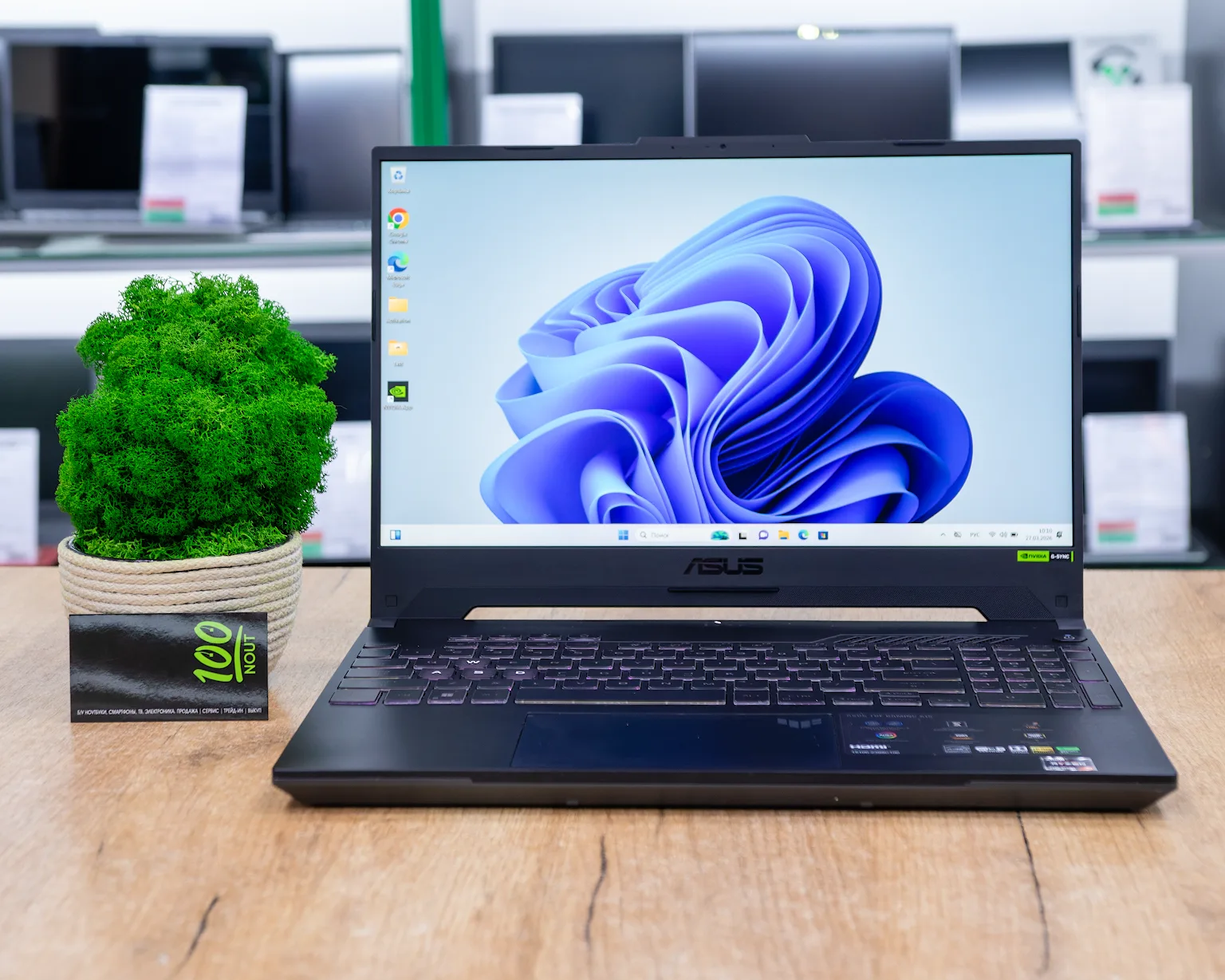 Игровой ноутбук Asus TUF Gaming A15 FA507N (144Hz/Ryzen 5 7535HS/RTX 4060 8GB/16GB/SSD 512GB)