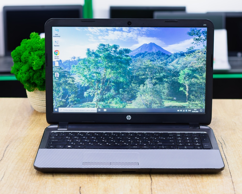 Ноутбук HP 255 G3 (HD/E1-6010/4GB/HDD 1 TB)