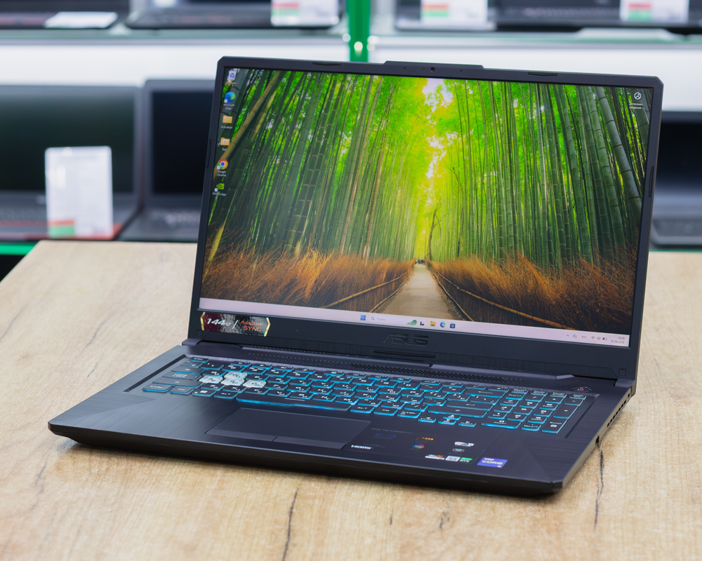 Игровой ноутбук Asus TUF Gaming FX706HC (144Hz/i5-11gen/RTX 3050 4GB/16GB/SSD 512GB)